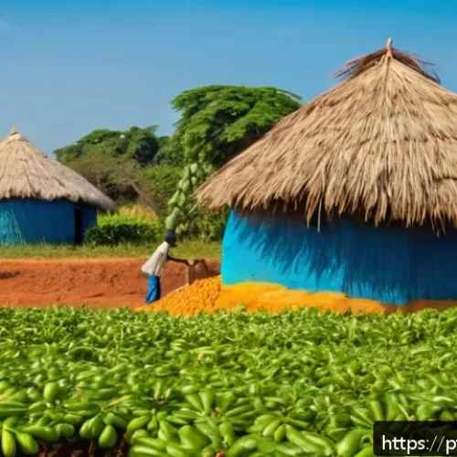 기니비사우의 정치적 안정성과 미래 전망 - A vibrant rural Guinean cashew nut farm scene during harvest season, showing local farmers in colorf...